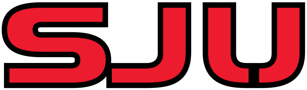 St. John's Red Storm 2004-2006 Wordmark Logo iron on transfers for clothing